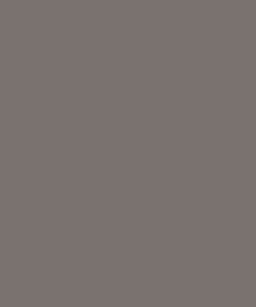 L1046 漆纹赭 Paint Ochre