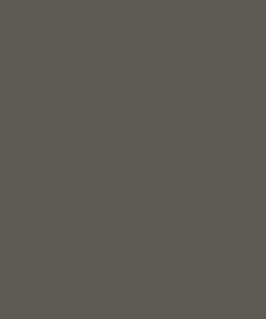L1058 流星灰 Meteor Grey
