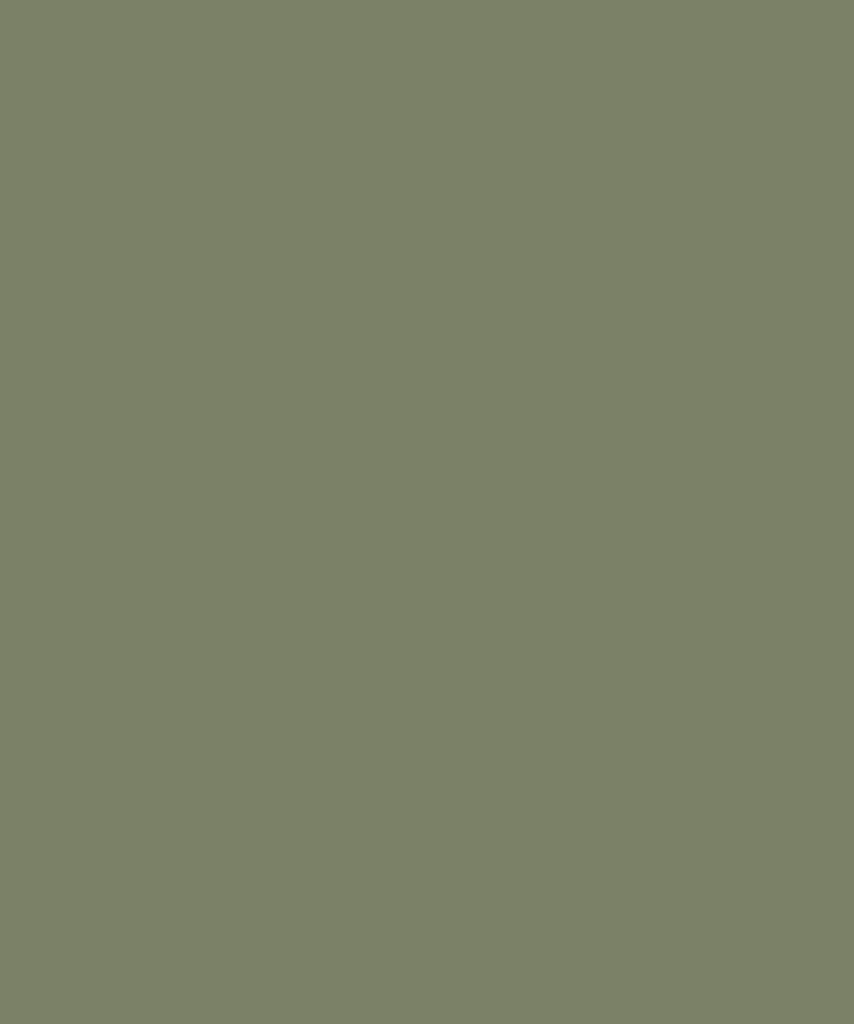 L1123 若草绿 Grass Green